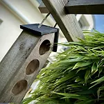 Ker Lodan Jolie Maison 3 Et Terrasse Holiday home *