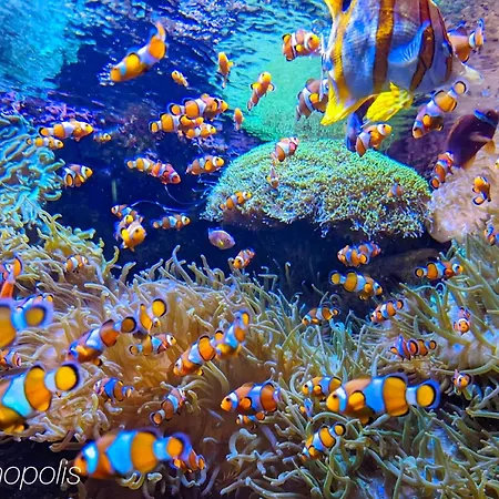 Prázdninový dům Ker Lodan Jolie Maison 3 Et Terrasse