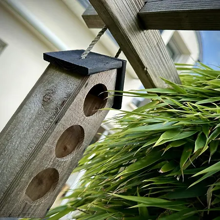 Ker Lodan Jolie Maison 3 Et Terrasse Feriehus *
