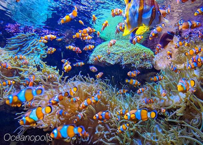 펜션 Ker Lodan Jolie Maison 3 Et Terrasse