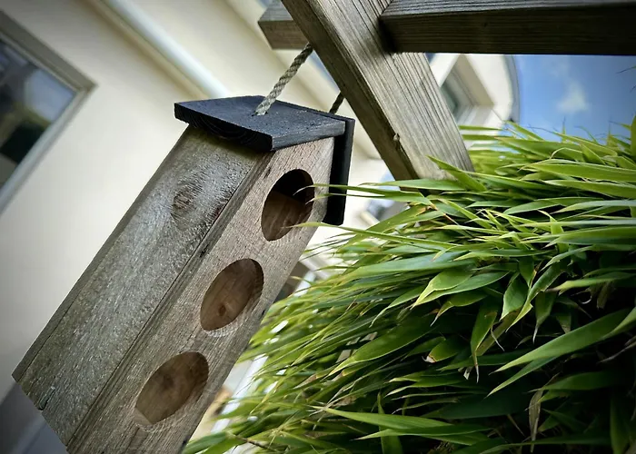 Ker Lodan Jolie Maison 3 Et Terrasse Holiday home *